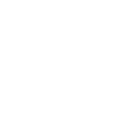 business incorporation
